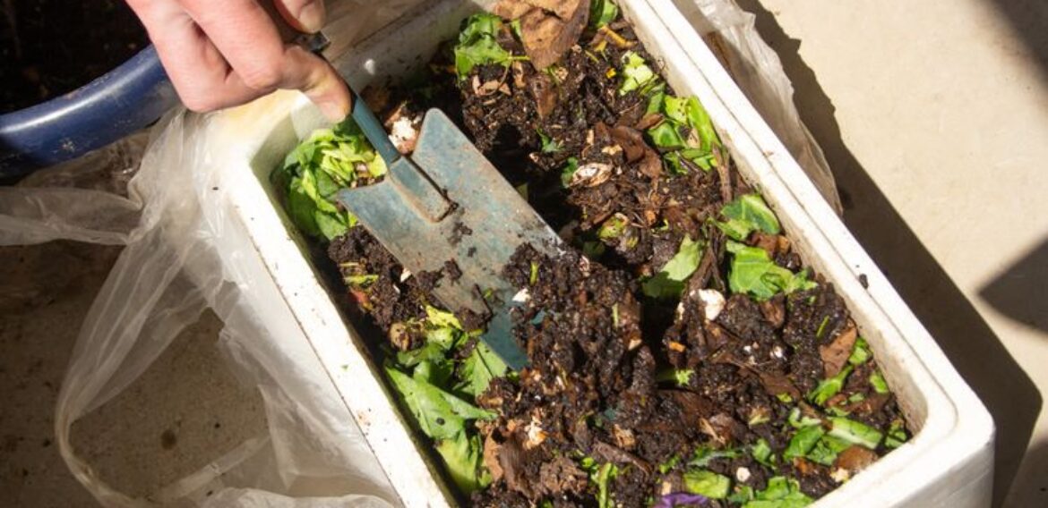 ESPHERO BELAJAR PEMBIBITAN DAN PENGOLAHAN KOMPOS DI POLIBARA