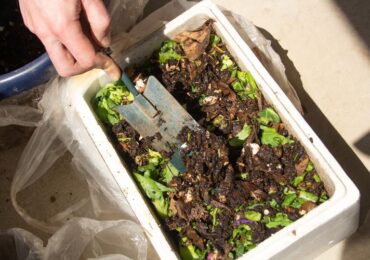 ESPHERO BELAJAR PEMBIBITAN DAN PENGOLAHAN KOMPOS DI POLIBARA